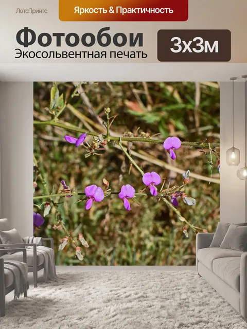 Фотообои Дикий душистый горошек группировки