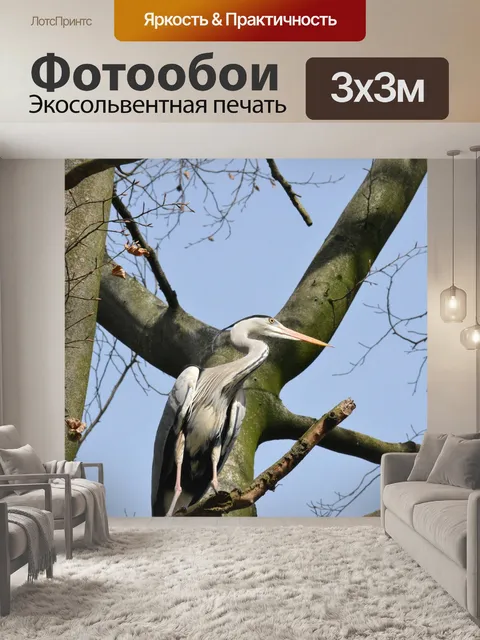 Фотообои Серый