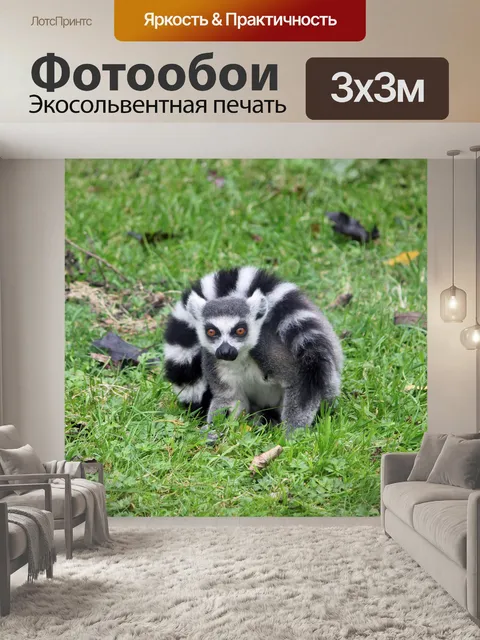 Фотообои Кольцо лемур