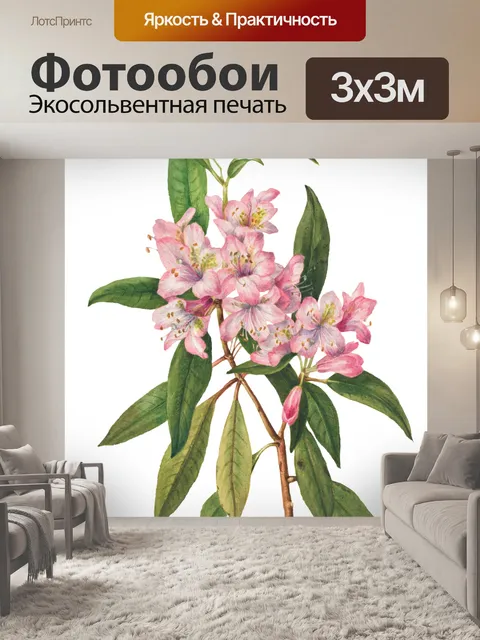 Фотообои Винтажный цветок рододендрона