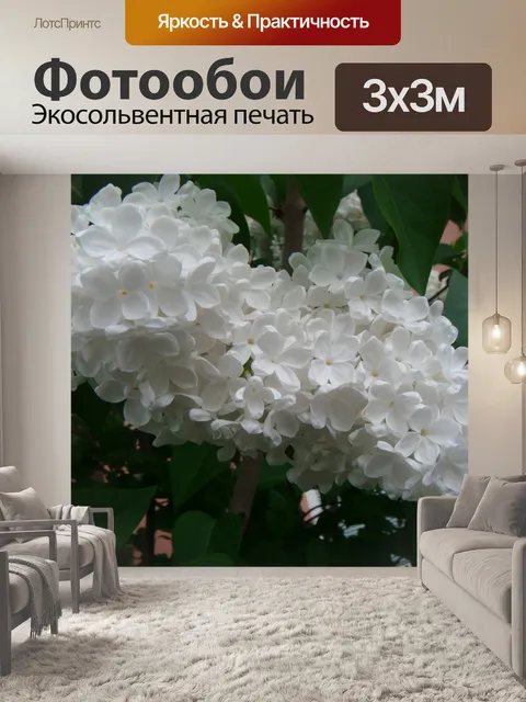 Фотообои белые цветы