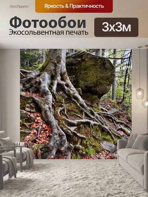 Фотообои Корни