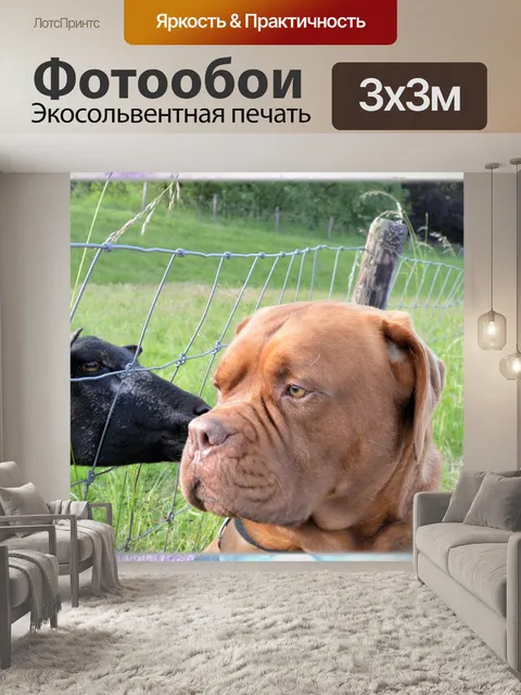Фотообои Первый поцелуй