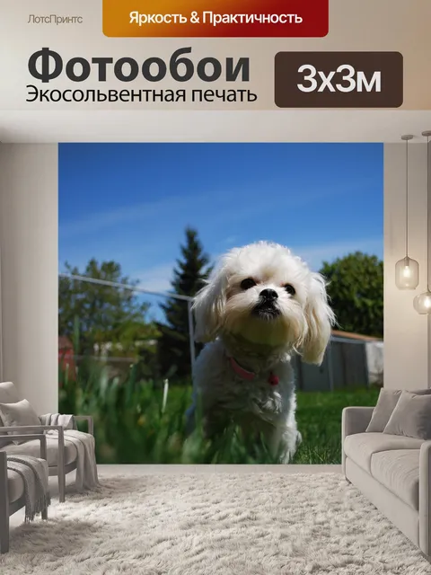 Фотообои Милый щенок