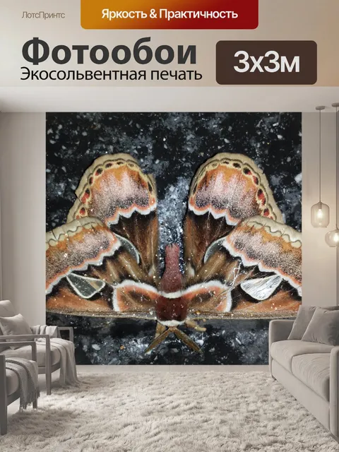 Фотообои Мотыль в ночной смену