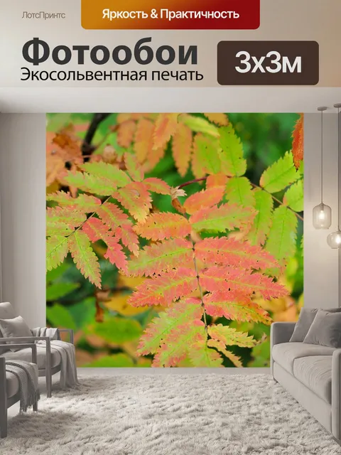 Фотообои Рябина