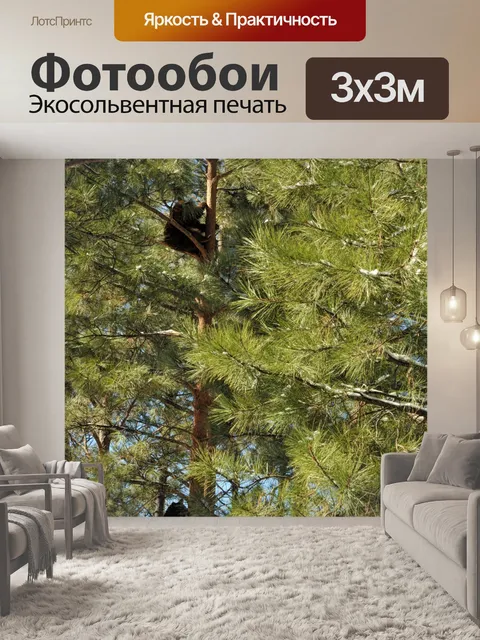 Фотообои Два медведя в дерево
