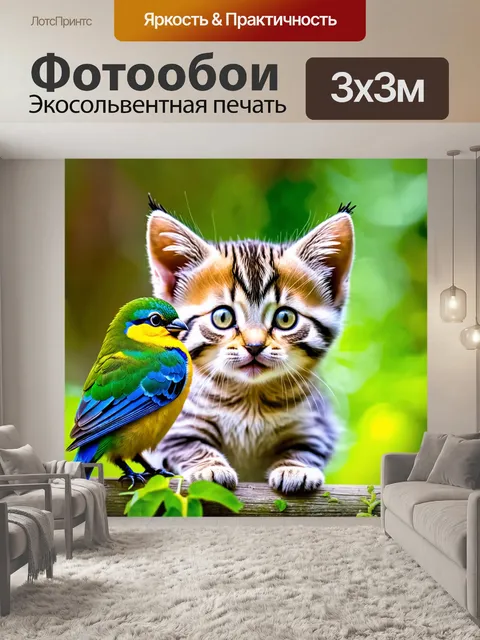 Фотообои котенок, шпионящий за птицами