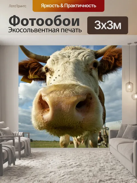 Фотообои Корова