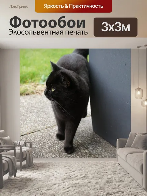 Фотообои Кот