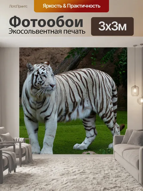 Фотообои Белый бенгальский тигр