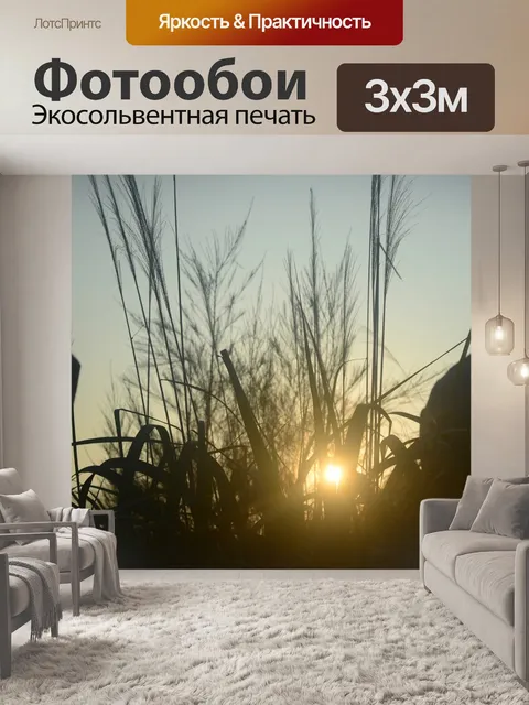 Фотообои Восход солнца