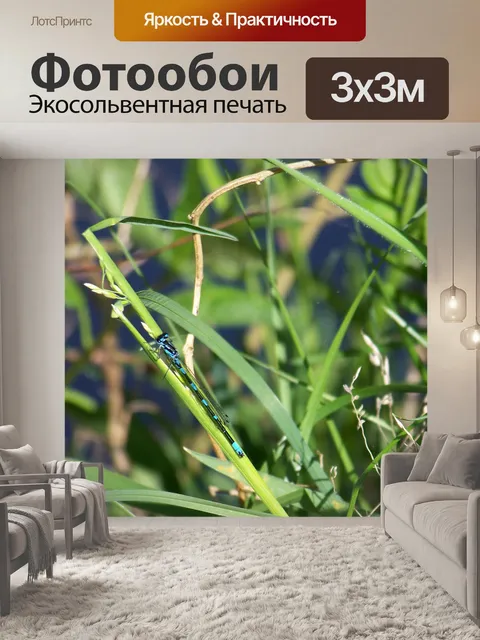Фотообои Стрекоза