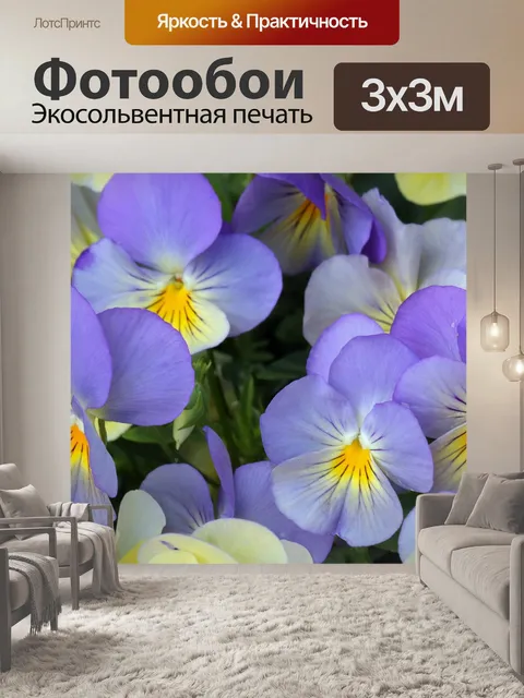 Фотообои Маленькие синие анютины глазки крупным п