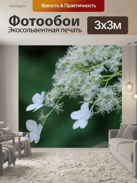 Фотообои Гортензия