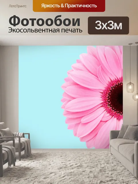 Фотообои Розовый Ромашка Цветок