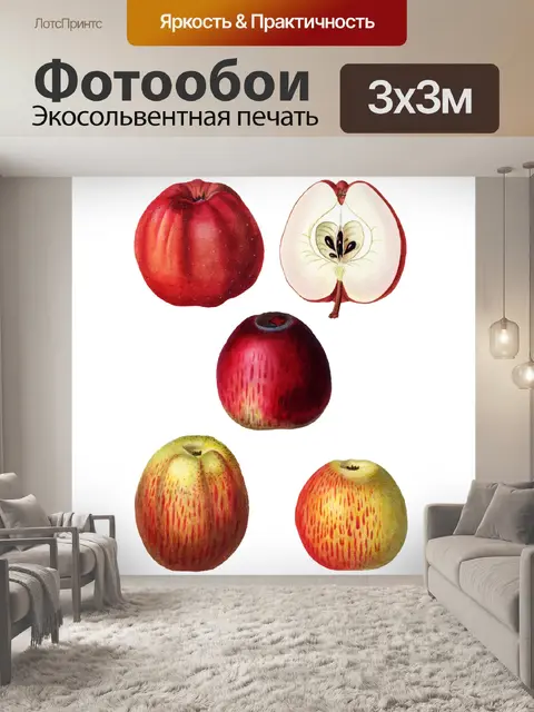 Фотообои Фрукты Яблоки Винтаж Клипарт