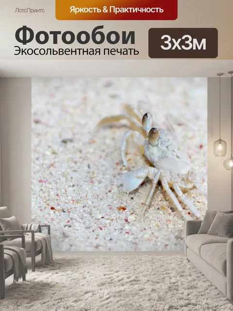 Фотообои белого краба