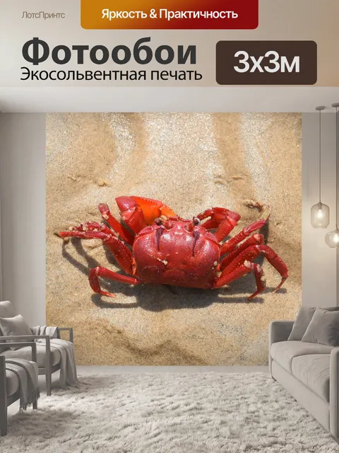 Фотообои Красный краб
