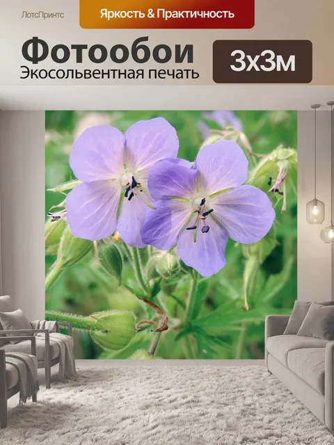 Фотообои Расцветает