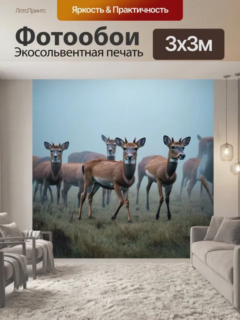 Фотообои туман в стиле гиперреализм