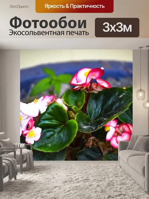 Фотообои Лекарственное растение