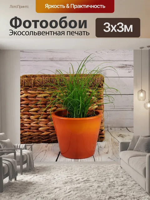 Фотообои Трава