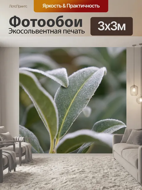 Фотообои Мороз