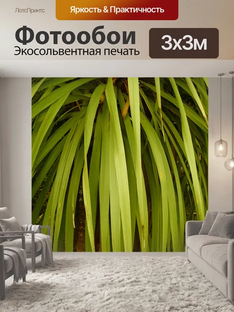 Фотообои Флора листья фон