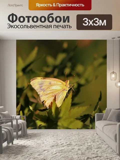 Фотообои Золотая бабочка на зеленых листьях