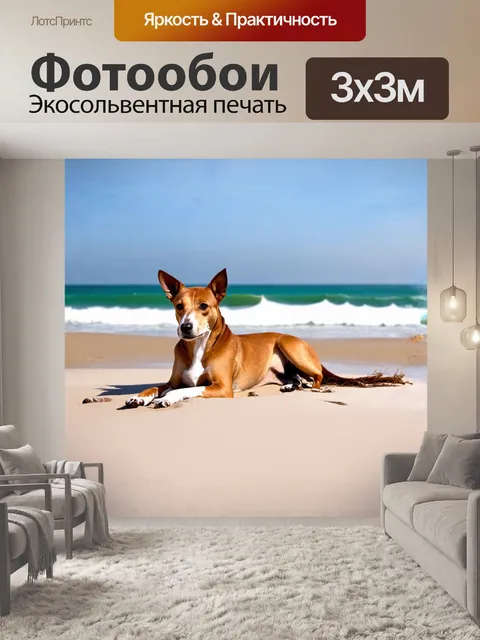 Фотообои басенджи в мгновении покоя, лежащая на светлом пляжном песке, придает кадру ощущение уюта и тепла