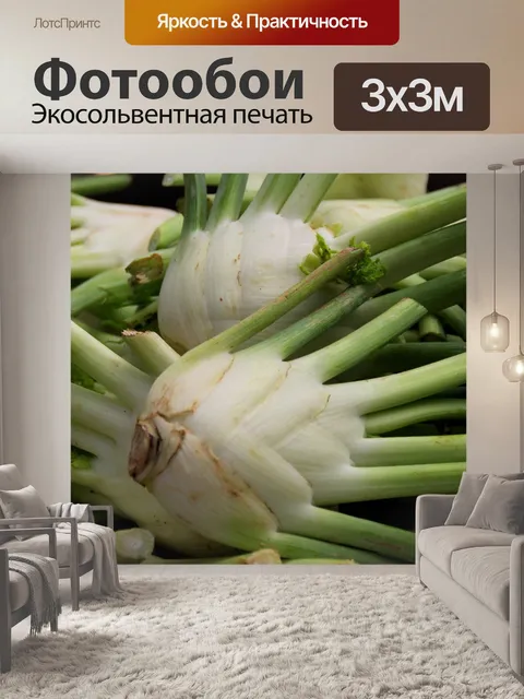 Фотообои Луковицы фенхеля