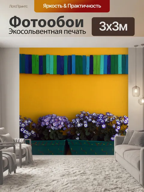 Фотообои маргаритка