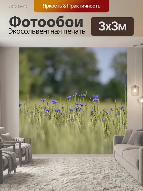 Фотообои Васильковый