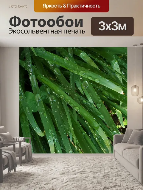 Фотообои Капли дождя на траве крупным планом