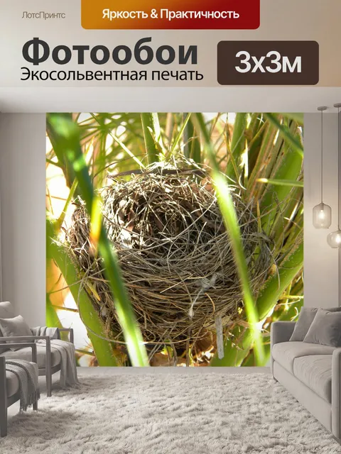 Фотообои Птичье гнездо
