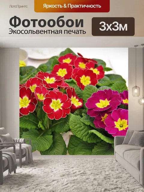 Фотообои Горшки для примулы