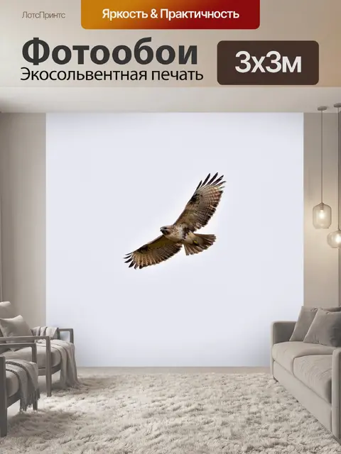 Фотообои Животное