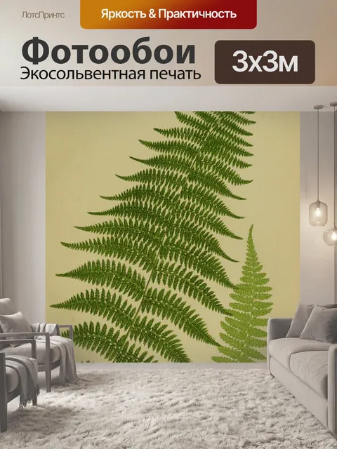 Фотообои Винтажные листья леди папоротника
