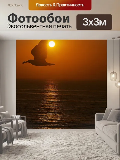 Фотообои Чайка