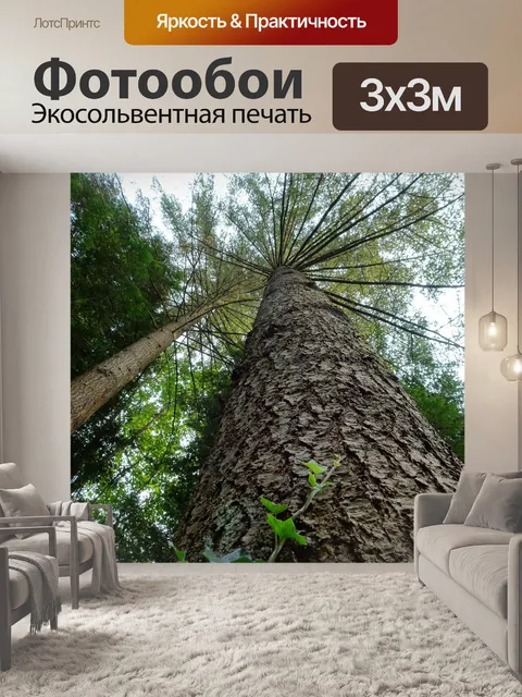 Фотообои в виде дерева