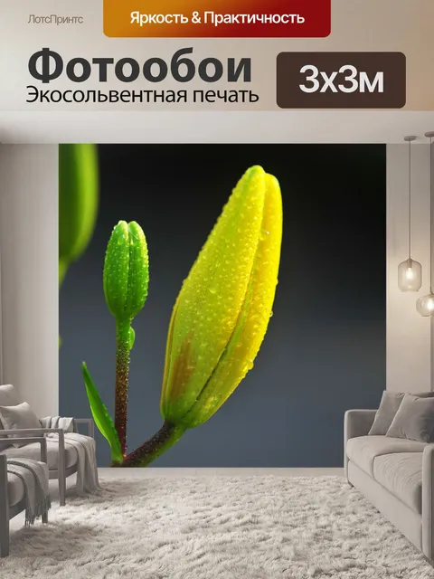 Фотообои Лили