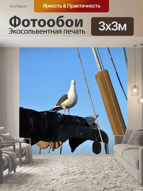 Фотообои Чайка на Парусник Boom