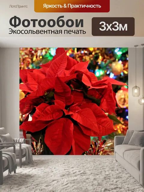 Фотообои Пуансеттия и новогодняя елка