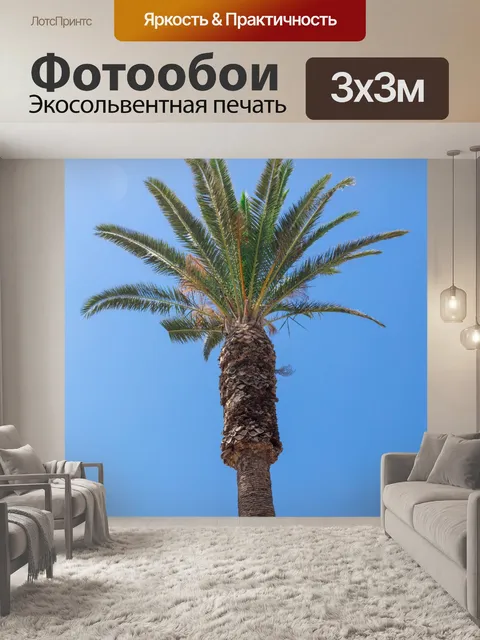 Фотообои Пальма с голубым небом