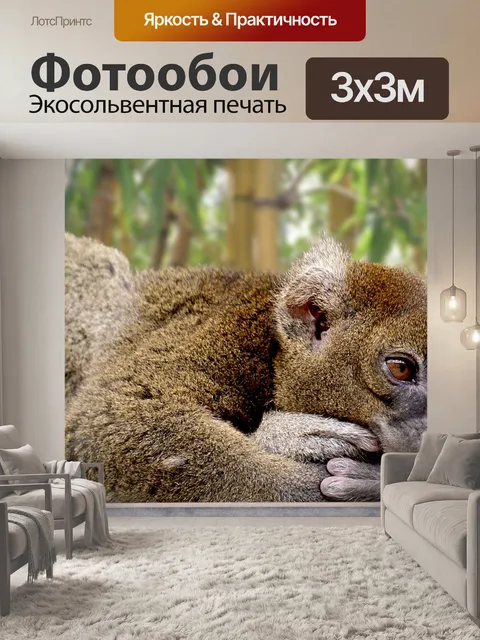 Фотообои Бамбуковые лемуры