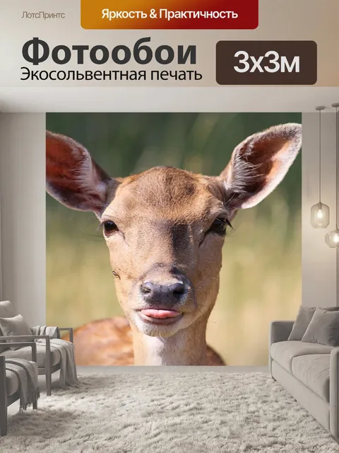 Фотообои Олень