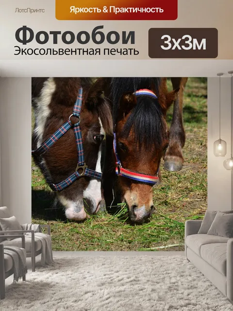 Фотообои Лошади