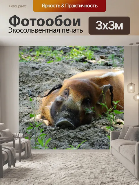 Фотообои Красной реки Боров
