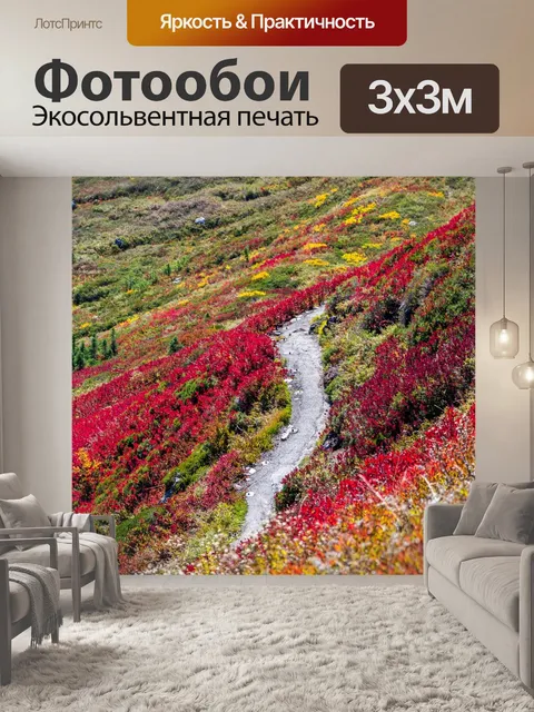 Фотообои Полевые цветы